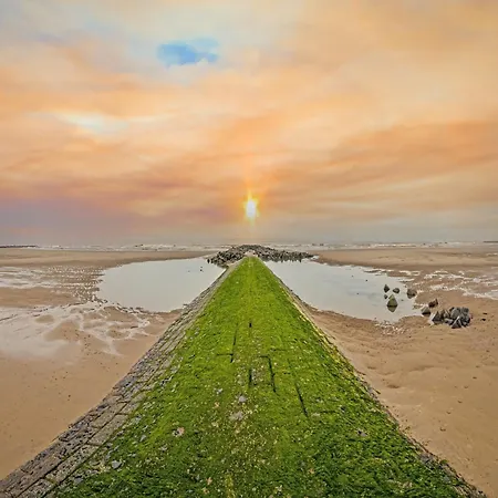 On Zeedijk With Sea View 아파트 *