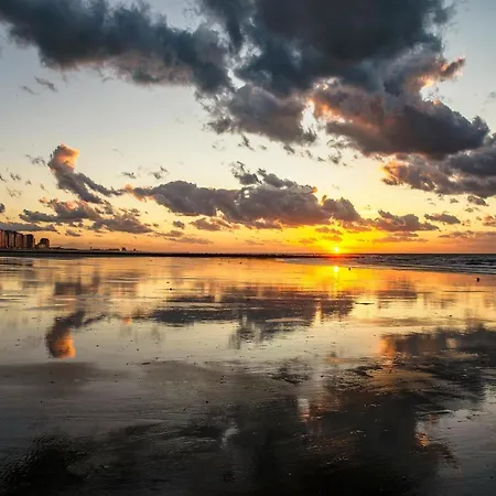 아파트 On Zeedijk With Sea View